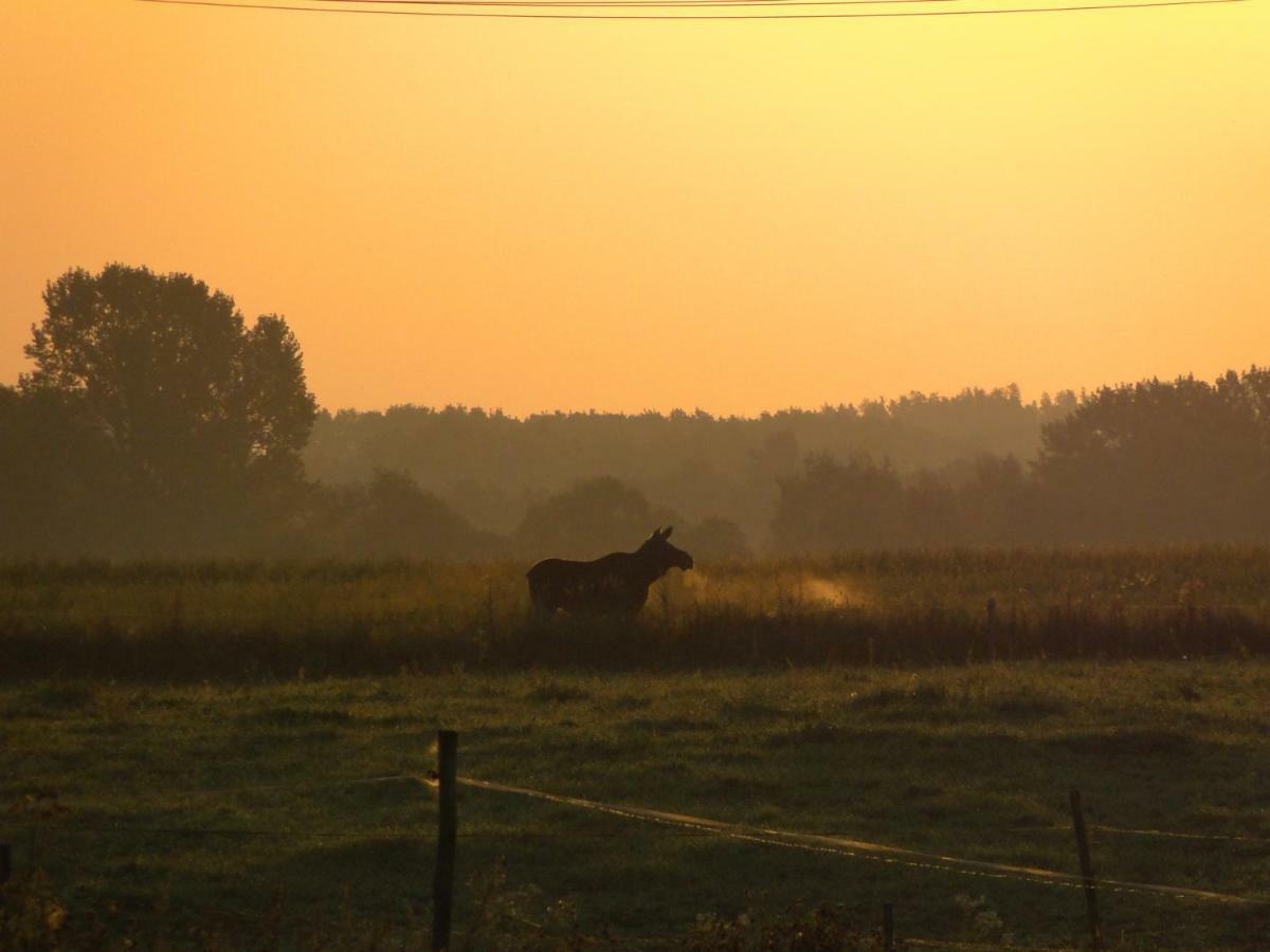 Stajnia Lisewo Villa Luaran gambar