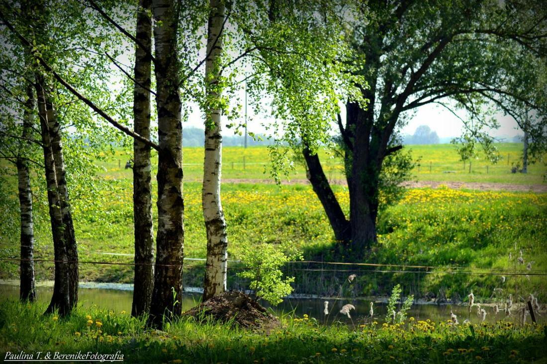 Stajnia Lisewo Villa Luaran gambar